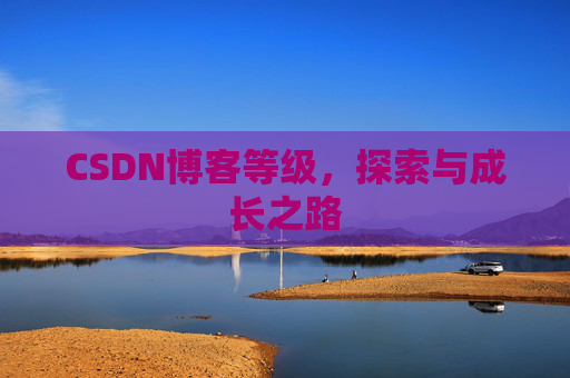 CSDN博客等级，探索与成长之路